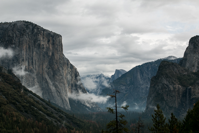 Yosemite National Park 