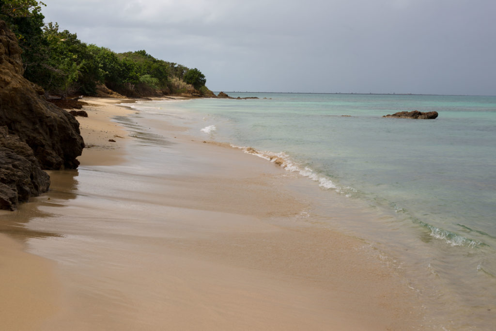 El Gallito Vieques Beach