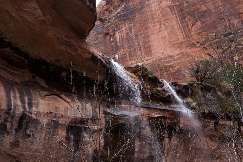 Waterfall Zion National Park