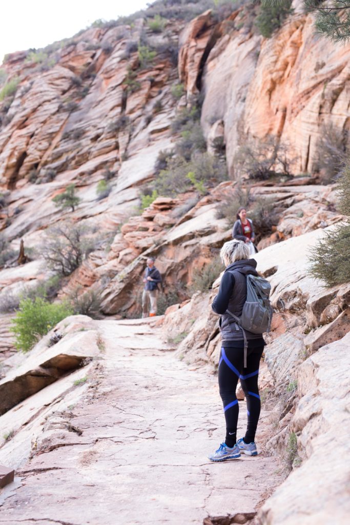 Zion National Park Views